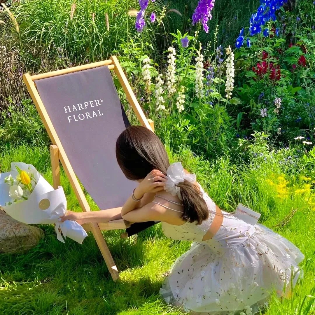 过度保护的少爷的溺爱婚姻